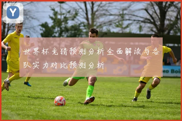 世界杯竞猜预测分析全面解读与各队实力对比预测分析