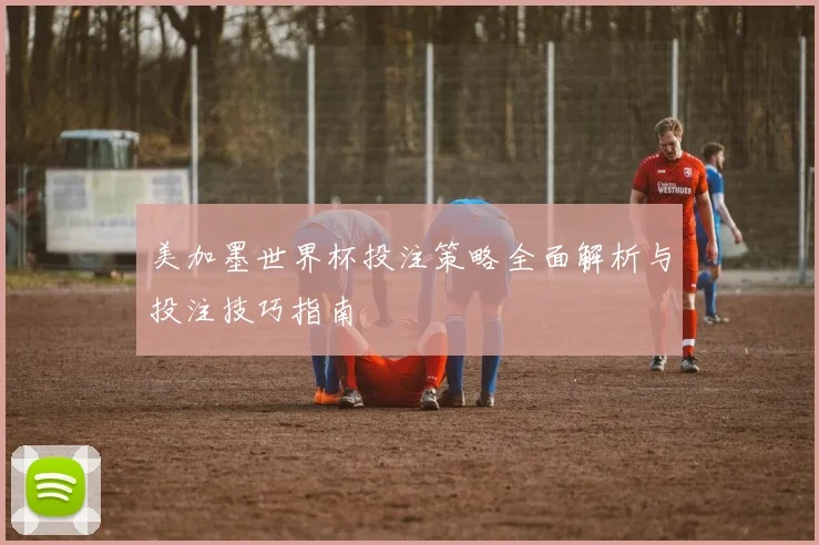 美加墨世界杯投注策略全面解析与投注技巧指南