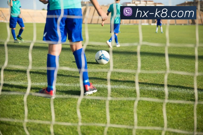 凯发娱乐平台展示图